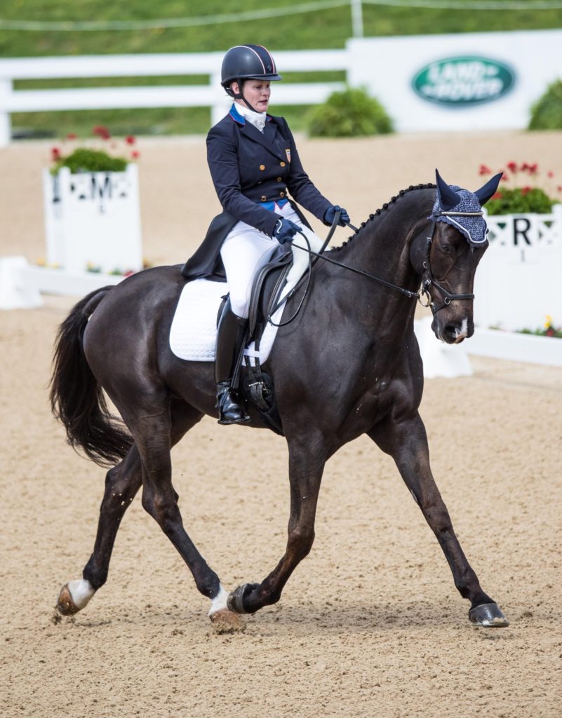 4 Tips To Get You Show Ready